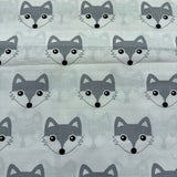 Pelēkie vilki, balts pamats