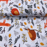 Lapsa, jenots, putniņi