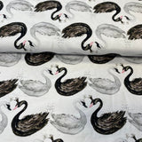 Melni un balti gulbji, balts pamats