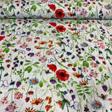 Poppies and other flowers on a white background