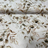 Brown leaves (eucalyptus), white background