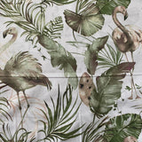 Exotic birds in leaves, white background